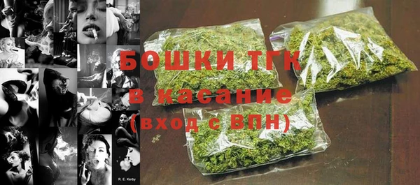 таблы Осинники