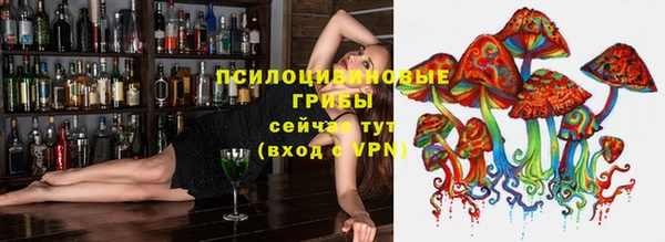 таблы Осинники
