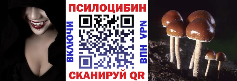 Галлюциногенные грибы мицелий  закладки  Ладушкин 